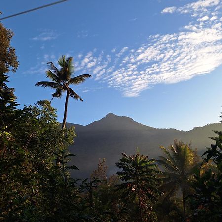 Pepper County Farm Stay Munnar Εξωτερικό φωτογραφία