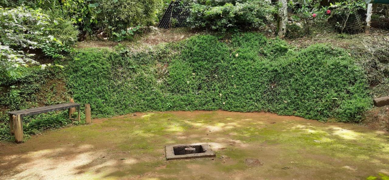 Pepper County Farm Stay Munnar Εξωτερικό φωτογραφία