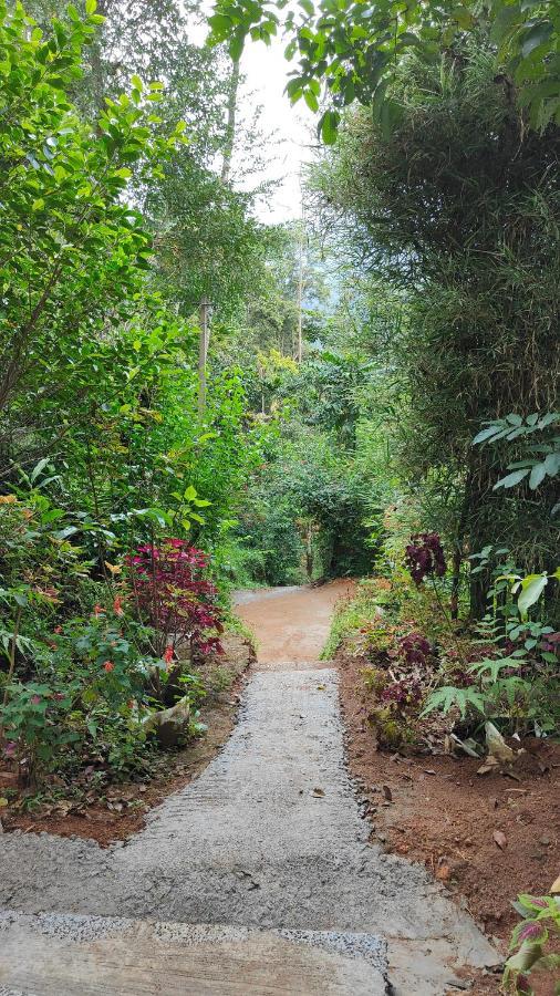 Pepper County Farm Stay Munnar Εξωτερικό φωτογραφία