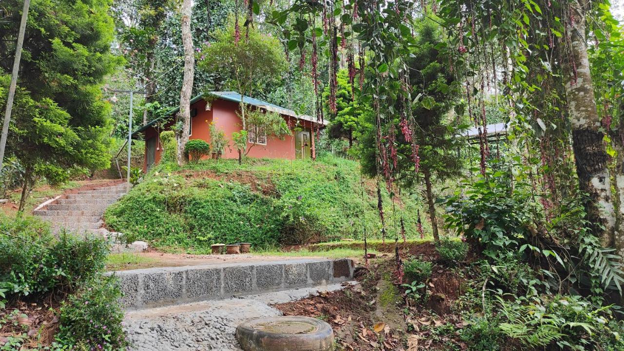 Pepper County Farm Stay Munnar Εξωτερικό φωτογραφία