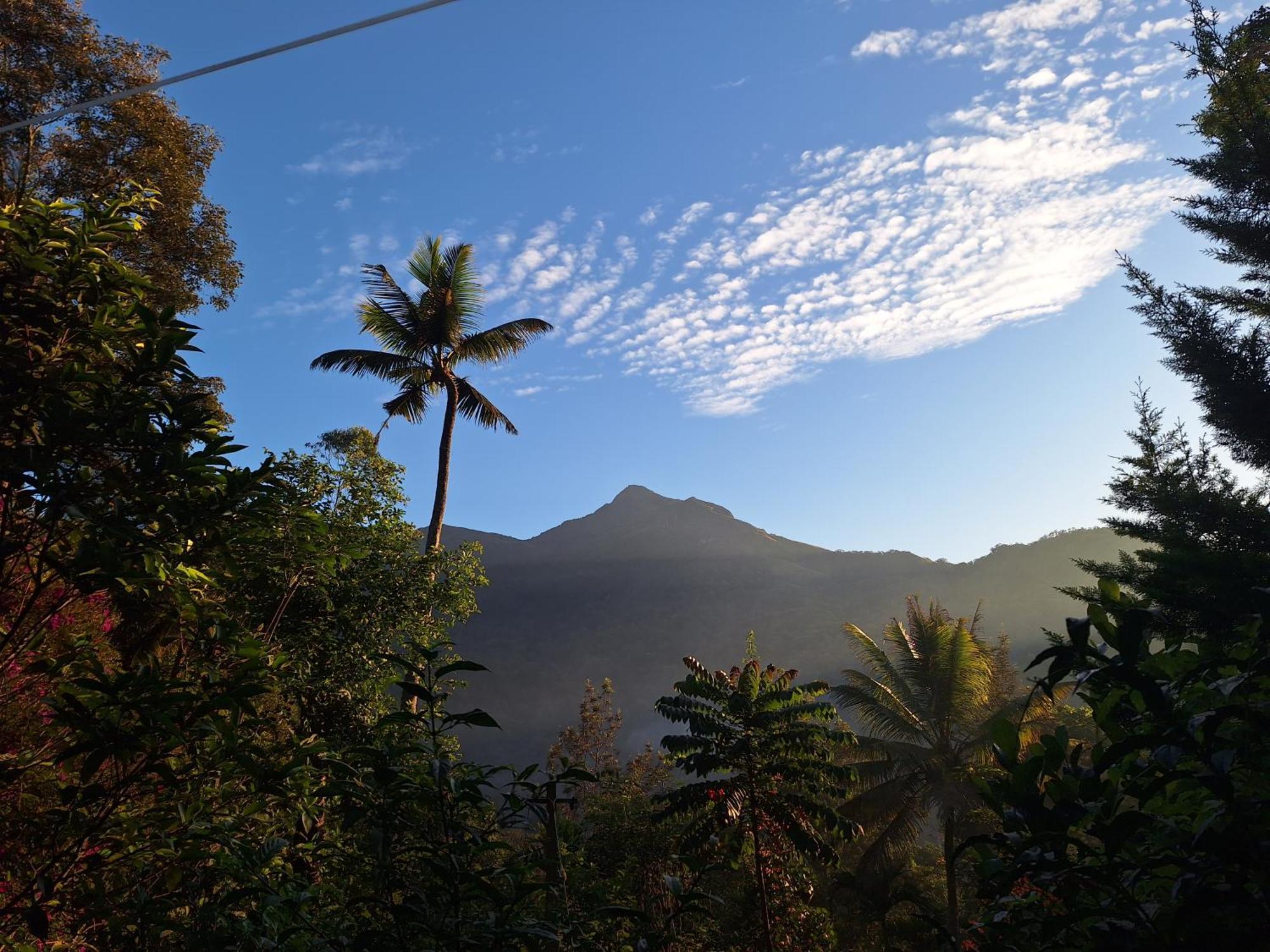 Pepper County Farm Stay Munnar Εξωτερικό φωτογραφία