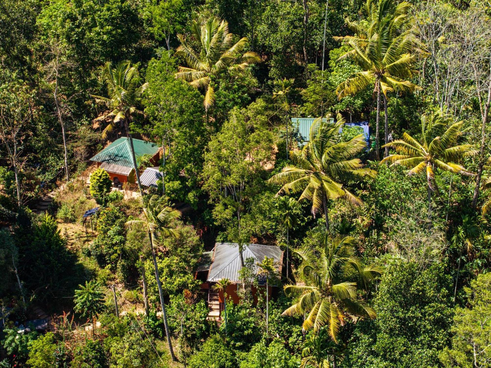 Pepper County Farm Stay Munnar Εξωτερικό φωτογραφία