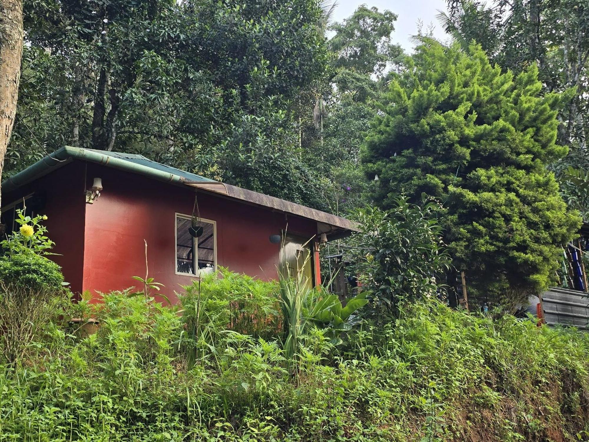 Pepper County Farm Stay Munnar Δωμάτιο φωτογραφία
