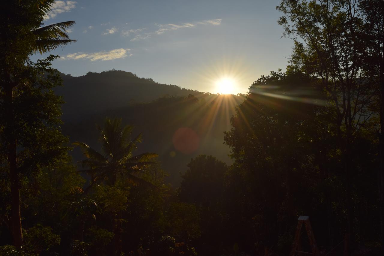 Pepper County Farm Stay Munnar Εξωτερικό φωτογραφία
