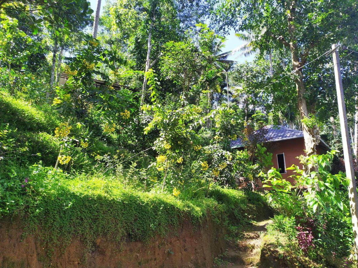 Pepper County Farm Stay Munnar Εξωτερικό φωτογραφία