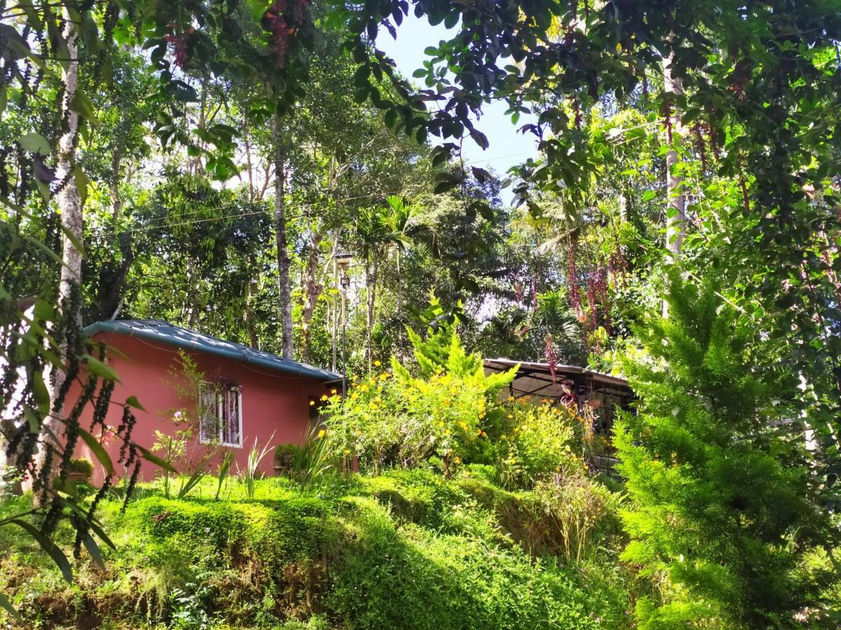Pepper County Farm Stay Munnar Εξωτερικό φωτογραφία