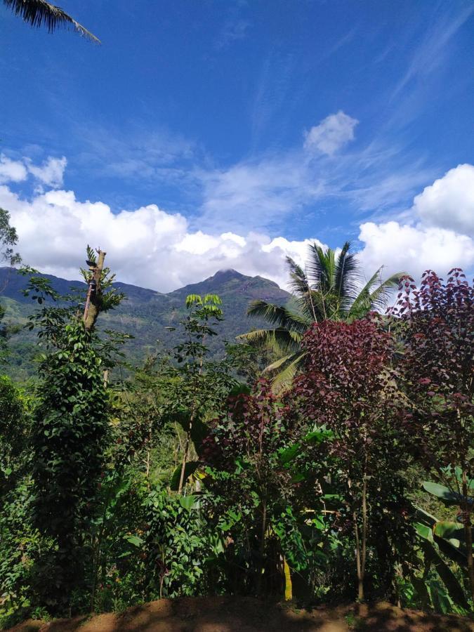 Pepper County Farm Stay Munnar Εξωτερικό φωτογραφία